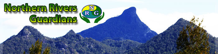 Northern Rivers Guardians